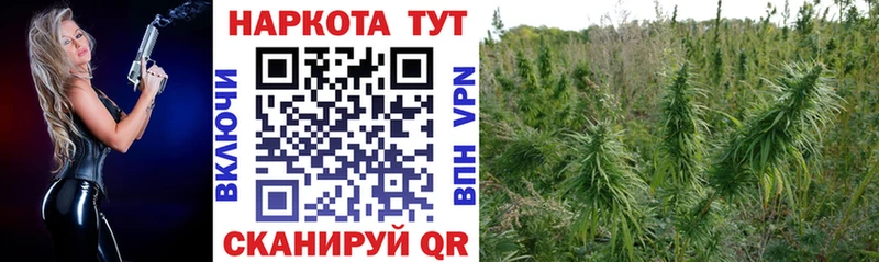 Где найти наркотики Кинель МАРИХУАНА  COCAIN  Гашиш  Меф мяу мяу 