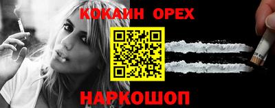 крисы Будённовск