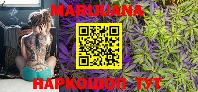 крисы Будённовск