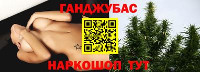 крисы Будённовск