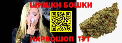 крисы Будённовск