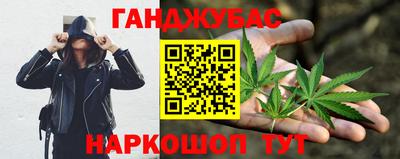 крисы Будённовск