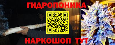 крисы Будённовск