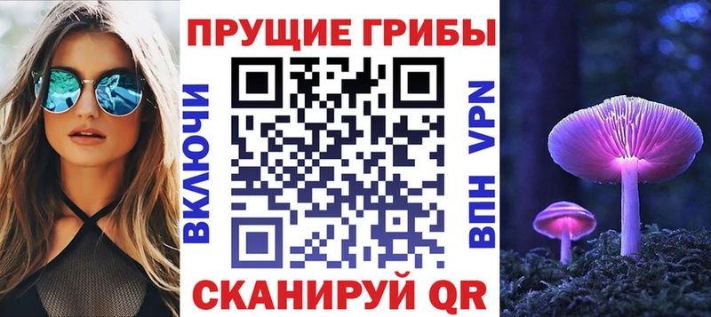 купить наркотик  Кинель  Псилоцибиновые грибы мухоморы 