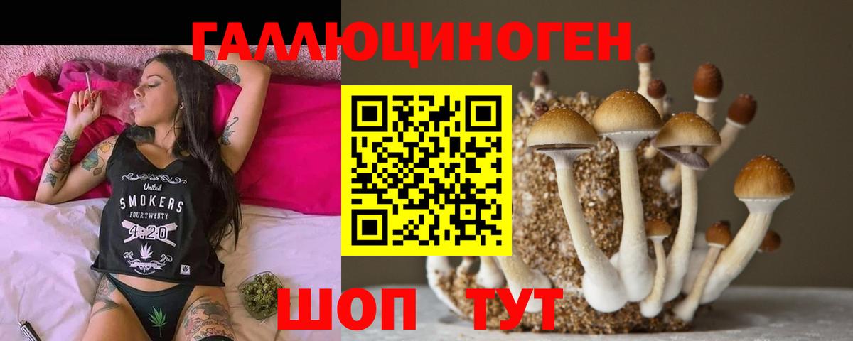 Галлюциногенные грибы Cubensis  Вход с VPN  цена наркотик  Кинель  Псилоцибиновые грибы мухоморы 